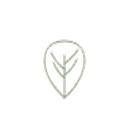 Logo Madyson Brazeau - feuille coeur